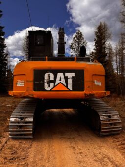 
										2015 CAT 324DFM Processor full									
